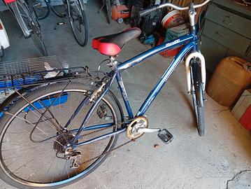 due biciclette 