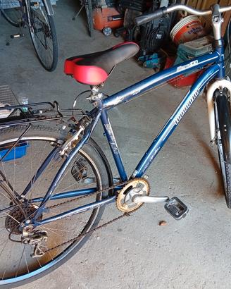 due biciclette 