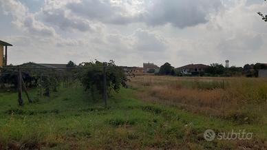 Terreno edificabile in Alice Castello