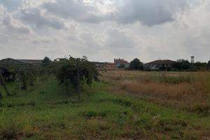 Terreno edificabile in Alice Castello