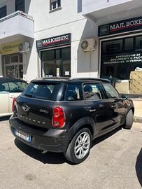 Miny countryman