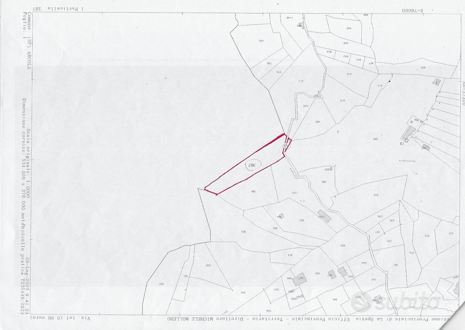 Terreno boschivo - Vista 2