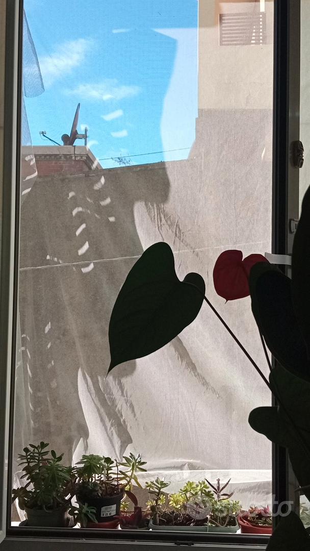 Appartamento – Genova, Quadrilatero, Centro Est - Altro