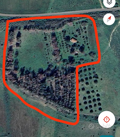 Terreno agricolo + casa attrezzi