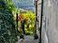 Immagine 18