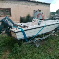 Barca con carrello omologato 