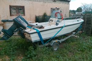 Barca con carrello omologato 