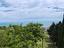 Immagine 11