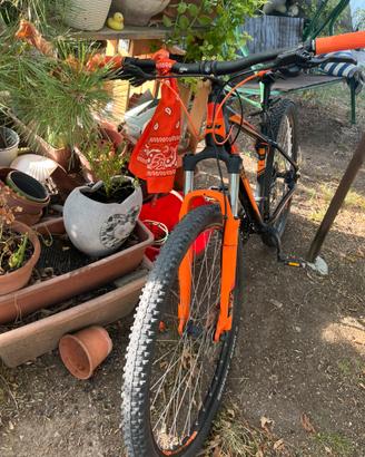 Mountain Bike KTM 29” - freni a disco Shimano