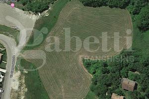 Terreno Agricolo Montese [1380VCG]