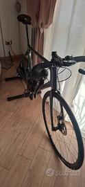 giant tcr. L