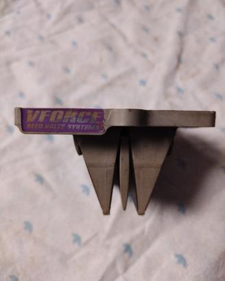 pacco lamellare v force Kawasaki 