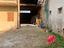 Immagine 24