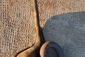 Marmitta per Ciao Piaggio