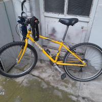 Bici da ragazzo