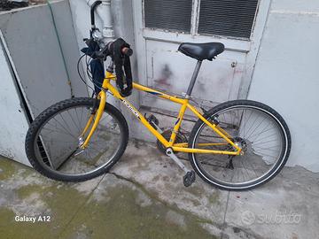 Bici da ragazzo
