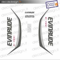 kit adesivi motore marino Evinrude G2 225 250 300