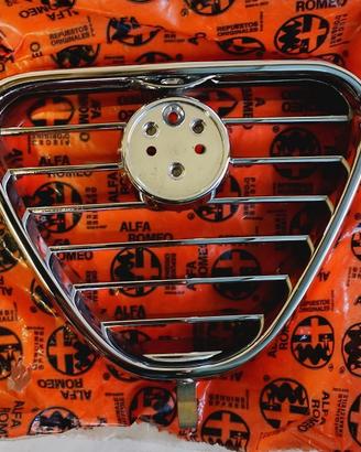 Scudo calandra per Alfetta 2.0