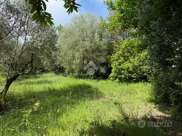 TER. AGRICOLO A ARTENA