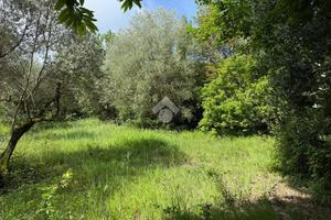 TER. AGRICOLO A ARTENA