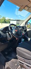 Ducato L1 H1