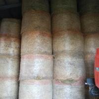 Fieno biologico