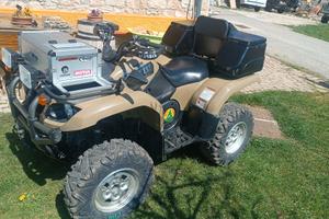 Quad Yamaha grizzly 660