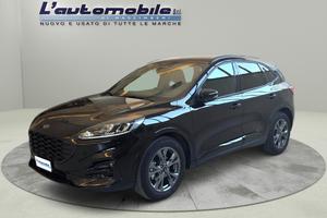 Ford Kuga 2.0 ecoblue ST-Line 2wd 120cv auto