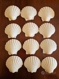 Conchiglie come piatti da antipasti 