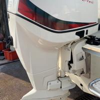 Evinrude E-Tec 225