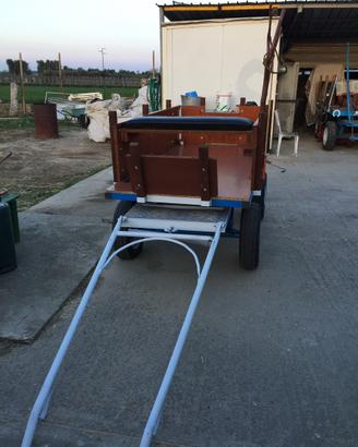 Carro per pony o mezzo cavallo