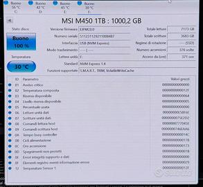 MSI M450 1 TB Ssd M2 1Tb
