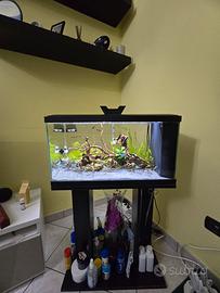 Acquario 60 lt Completo 