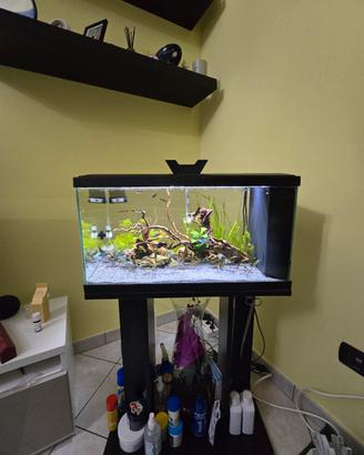 Acquario 60 lt Completo 