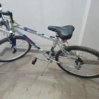 bicicletta montanbike