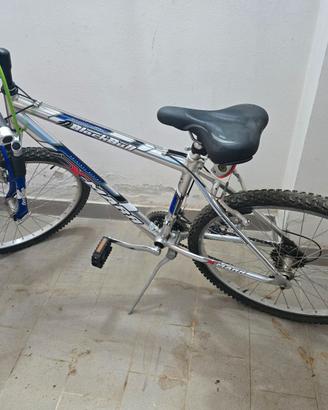 bicicletta montanbike