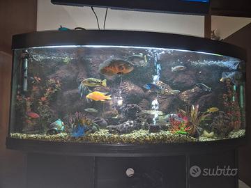 Juwel Acquario Rio 450 Litri LED Bianco 151x51x66H