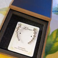 Orecchini in Argento 