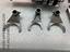 Immagine 11