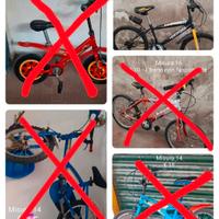 Bicicletta Schiano Bambino 