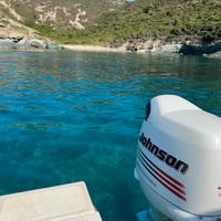 Johnson 140 4t Suzuki