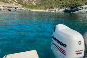 Johnson 140 4t Suzuki