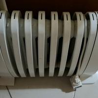 stufa ad olio elettrica