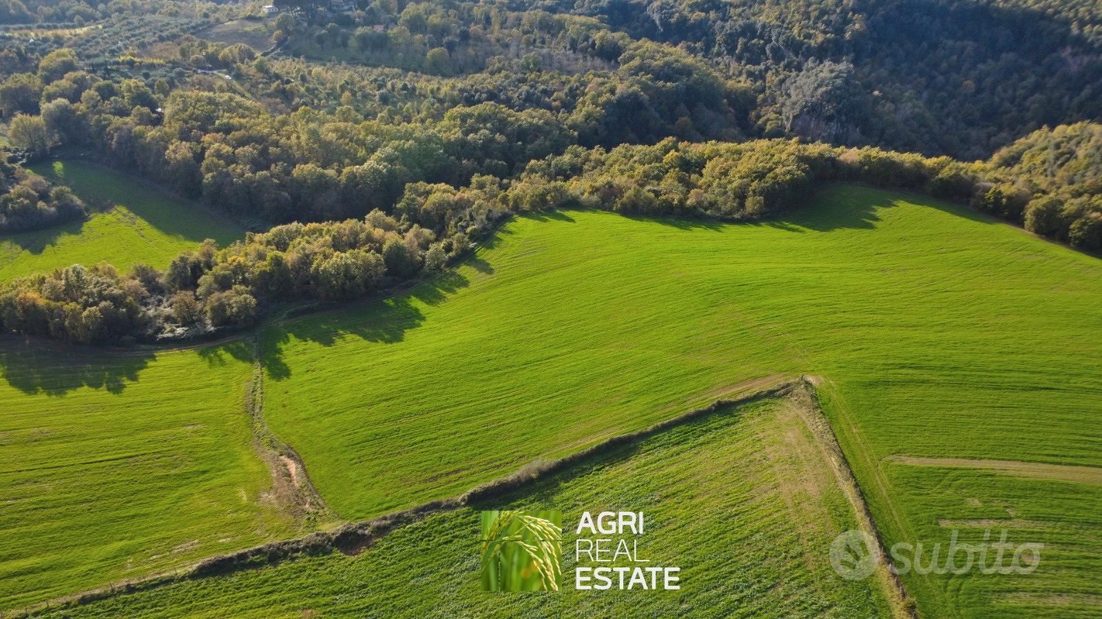 Terreno agricolo 18 ettari con fabbricato diruto - Altro