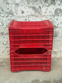 Cesta Fondo Chiuso per Alimenti 35x53x29