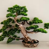 Bonsai di pino artificiale realistico