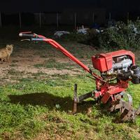 motozappa brumi 7 cv 2 marce