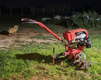 motozappa brumi 7 cv 2 marce