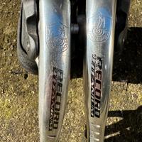 Campagnolo Record Titanium 8v gruppo