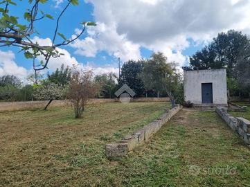 RUSTICO A FRANCAVILLA FONTANA